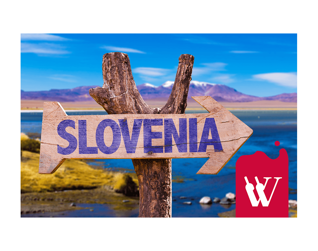 Odkryj nową destynację. Wina słoweńskie